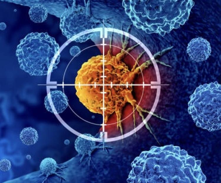 Surveillance cancer de l'adulte et de l'enfant.