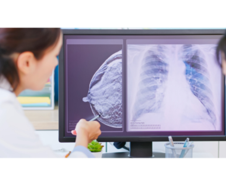 Étude Yannick Vidal