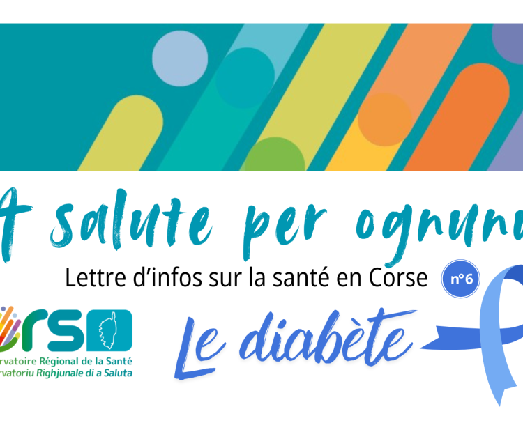 Newsletter n° 6