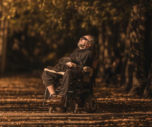 Les personnes en situation de handicap en Corse - Description et insertion sociale