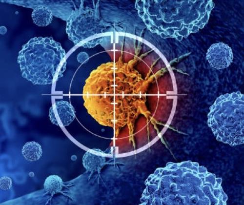 Surveillance cancer de l'adulte et de l'enfant.