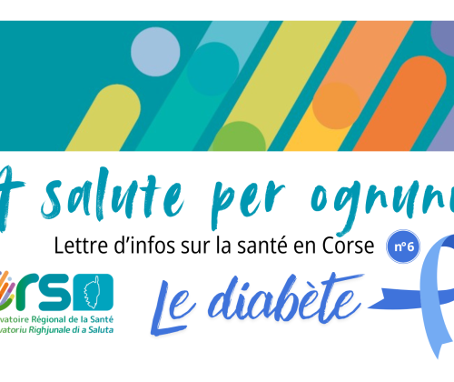 Newsletter n° 6
