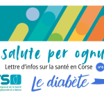 Newsletter n° 6
