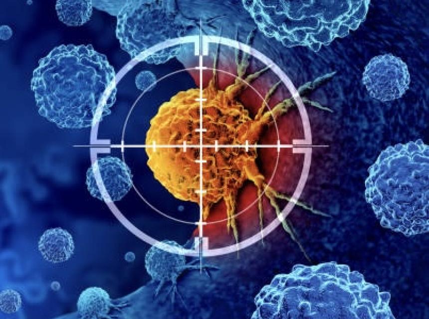 Surveillance cancer de l'adulte et de l'enfant.