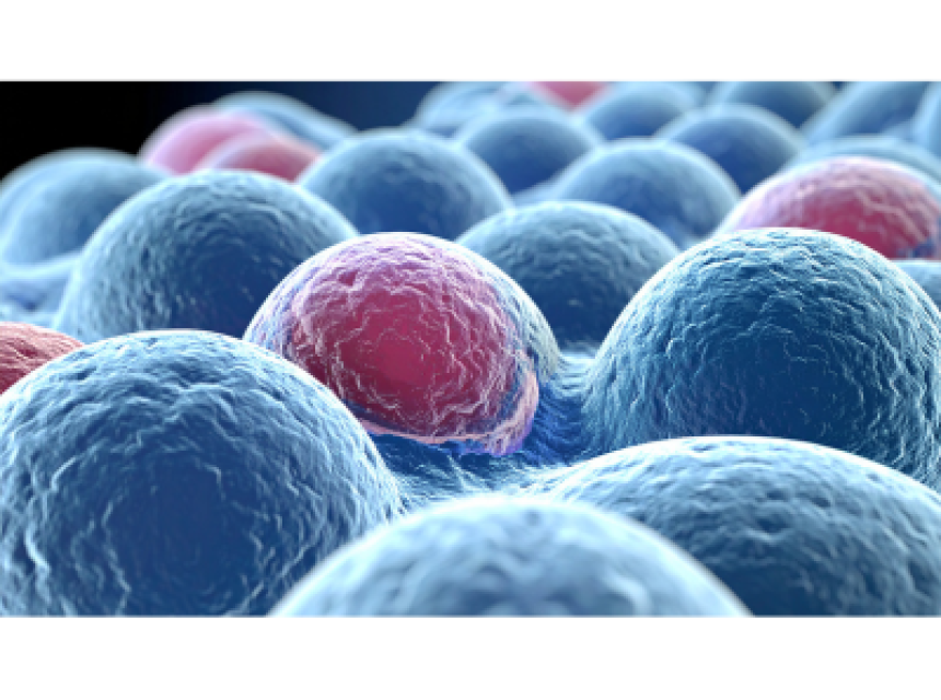 Étude Ghjuliana Ballo