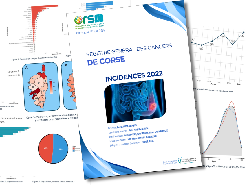 Rapport 2022